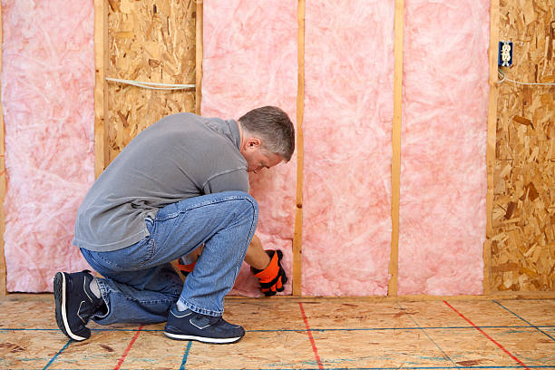 Professional Insulation Contractor in IA